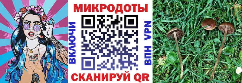 цена   darknet клад  Псилоцибиновые грибы прущие грибы  Ульяновск 